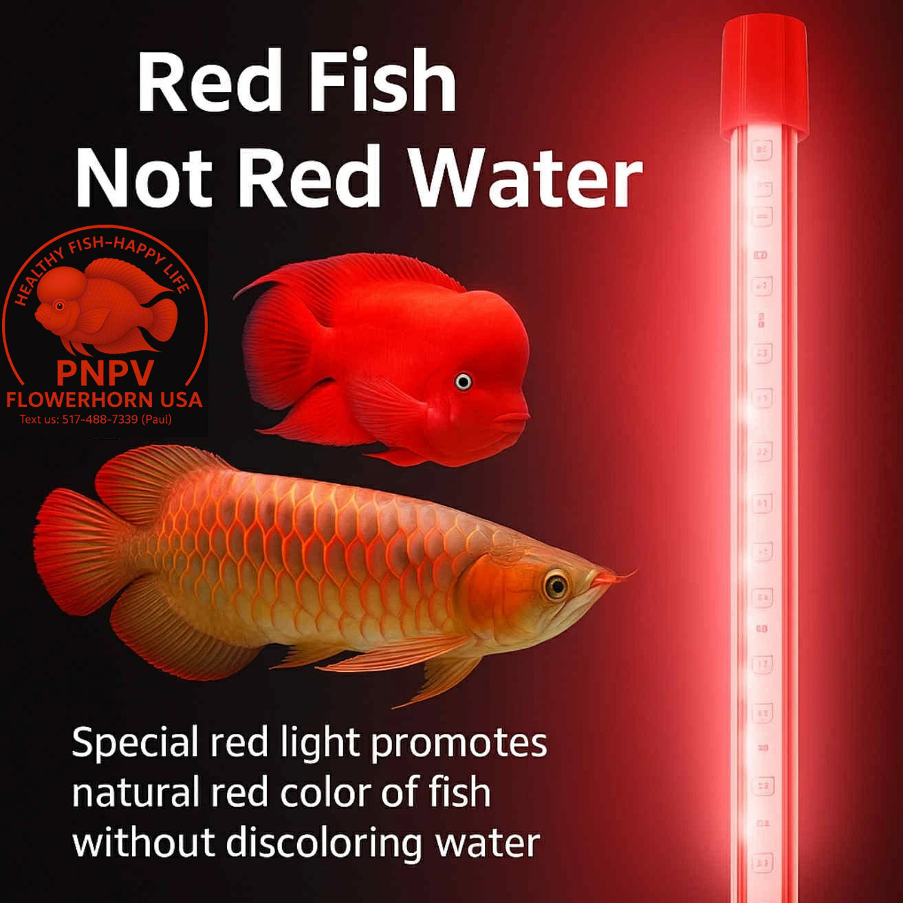 AQUA LED Light 20 inch – Enhances Fish Red Color Without Tinting Water – Boosts Red Pigment for Arowana, Kamfa, Super Red Monkey