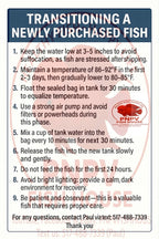 Premium KAMFA F2 strong body 3.5 inches Flowerhorn Live Fish Cichlid PNPV 301 -Fast USA Shipping